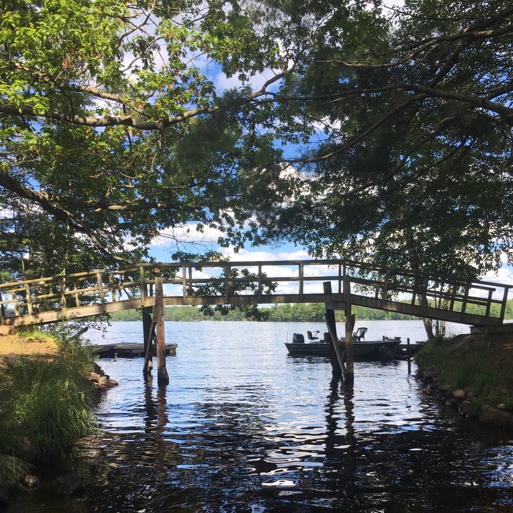 Meet your Posher, Jonni